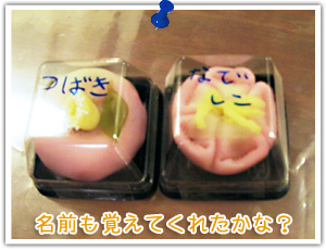 ���O���o���Ă��ꂽ���ȁH