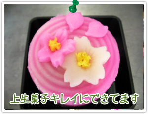 �㐶�َq���ꂢ